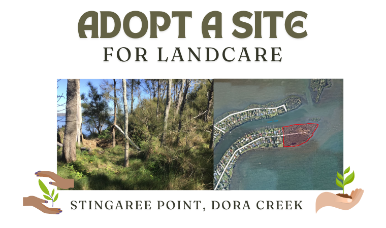 Adopt Stingaree Point